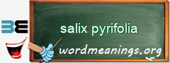 WordMeaning blackboard for salix pyrifolia